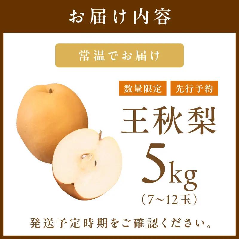 梨／王秋梨【先行予約／数量限定200】農家直送 秋の王様 「王秋」5kg（概ね7玉～12玉）（2026年11月上旬～発送）梨 なし ナシ 王秋梨 5キロ 予約 果物 くだもの フルーツ 期間限定 国産