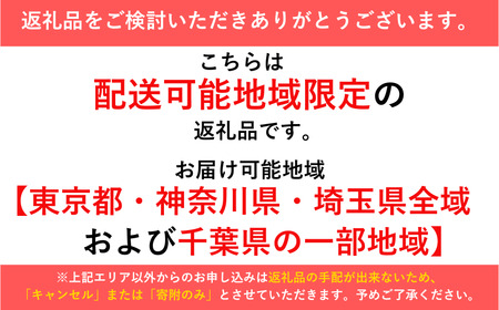 自転車 ビーチクルーザー Volt！ HURRICANE（PURPLE×YELLOW）