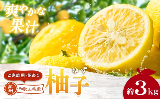ゆず 国産 ご家庭用 訳あり 紀州 和歌山県産 有田 柚子 約3kg 有田マルシェ《2026年10月末頃-2027年1月下旬頃発送予定》 和歌山県 日高町 ユズ 柑橘 フルーツ ギフト 送料無料