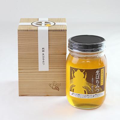 ふるさと納税 南九州市 日本みつばち生はちみつ　薩摩の蜜『開聞山麓はちみつ』550g