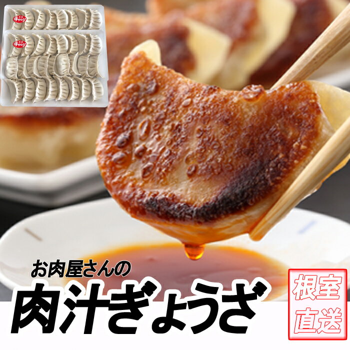 【ふるさと納税】餃子25個×2P〜4P ぎょうざ ギョウザ 肉 北海道 根室市