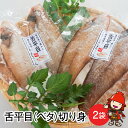 【ふるさと納税】魚 切り身 舌平目 2枚入り×2袋 大分県中津産 べた ベタ 冷凍魚 冷凍食品 魚介 海産物 大分県産 九州産 中津市 国産 送料無料【発送は2024年11月1日～2025年4月30日までの予定】