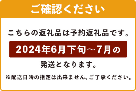 《2024年6月下旬～7月下旬発送》【先行予約】最高糖度20度！？ 完熟！3Lサイズ 石垣島マンゴー 約500g【贈答用】TF-11