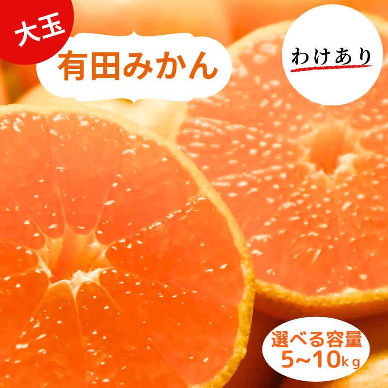 【ふるさと納税】和歌山県産 有田みかん 大玉 2L～3L 訳あり 選べる容量 5kg 10kg ※2026年10月中旬-2026年1月中旬頃に順次発送予定（お届け日指定不可)