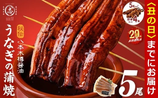 【丑の日までに配送】【志布志市制20周年記念】【数量限定】国産 八本木樽鰻の蒲焼(160g以上×5尾) うなぎ肝串4本セット うなぎ 鰻 ウナギ 5尾 国産 九州産 蒲焼き かばやき 冷凍 うな丼 うな重 ひつまぶし タレ 山椒 ランキング 人気 b5-192-km-us