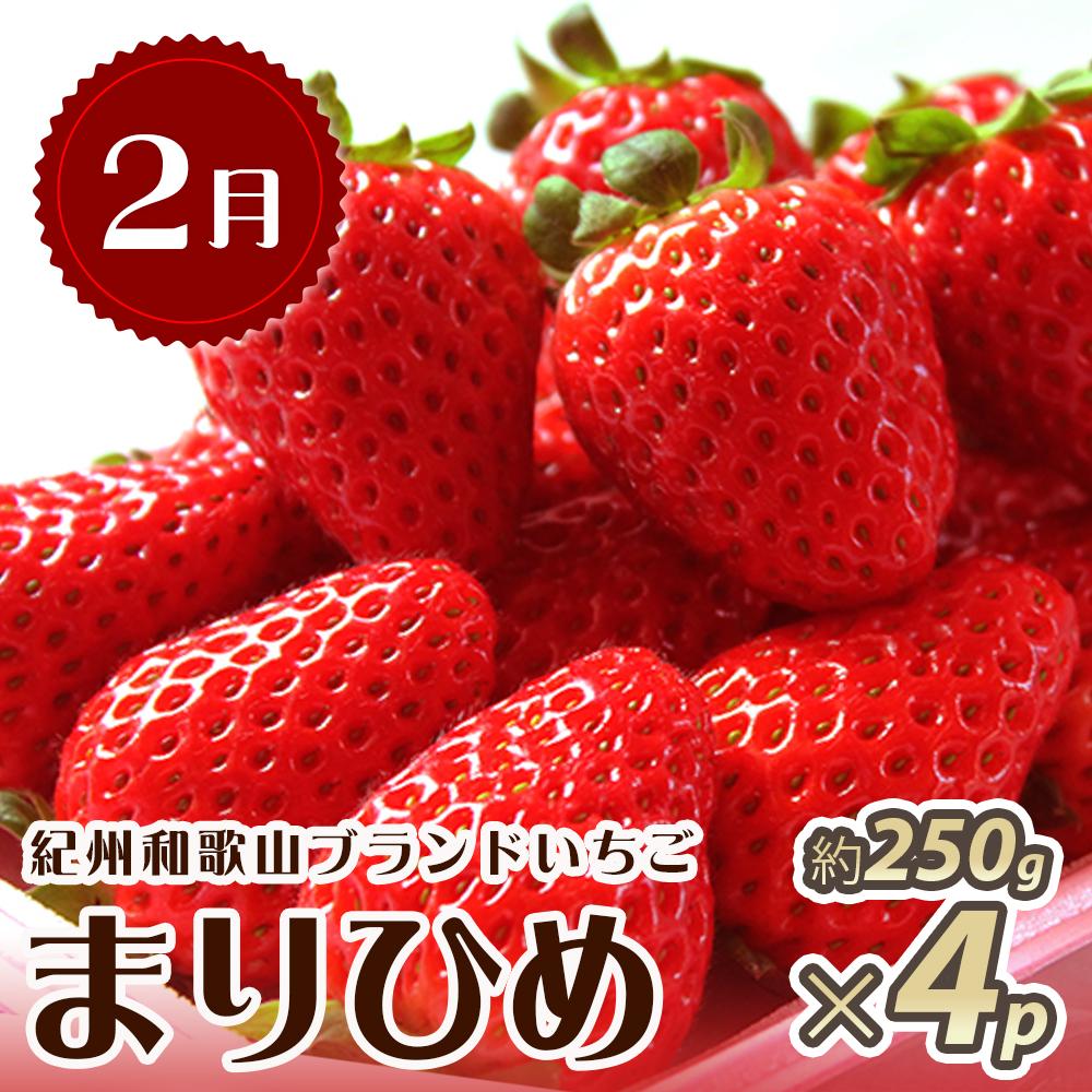 【2・7・12月 全3回】紀州和歌山産旬のフルーツセット（いちご・桃・有田みかん）定期便 【魚鶴商店】【UT70】XF91139_イメージ2