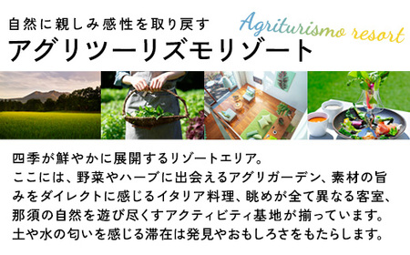 星野リゾート リゾナーレ那須 宿泊ギフト券（450,000円分） ｜ 宿泊 旅行 チケット 宿泊券 旅行券 観光 国内旅行 那須 栃木県 那須町〔P-176〕 ※着日指定不可