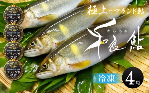 極上ブランド鮎「和良鮎」4尾セット 冷凍 鮎 あゆ アユ 魚 さかな 川魚 河魚 塩焼き 贈答 ブランド 貴重 希少 ギフト お中元 BBQ バーベキュー 天然 わら わら鮎 活〆 大きい 大 サイズ 尾数 セット 詰め合わせ 選べる 岐阜県 郡上市