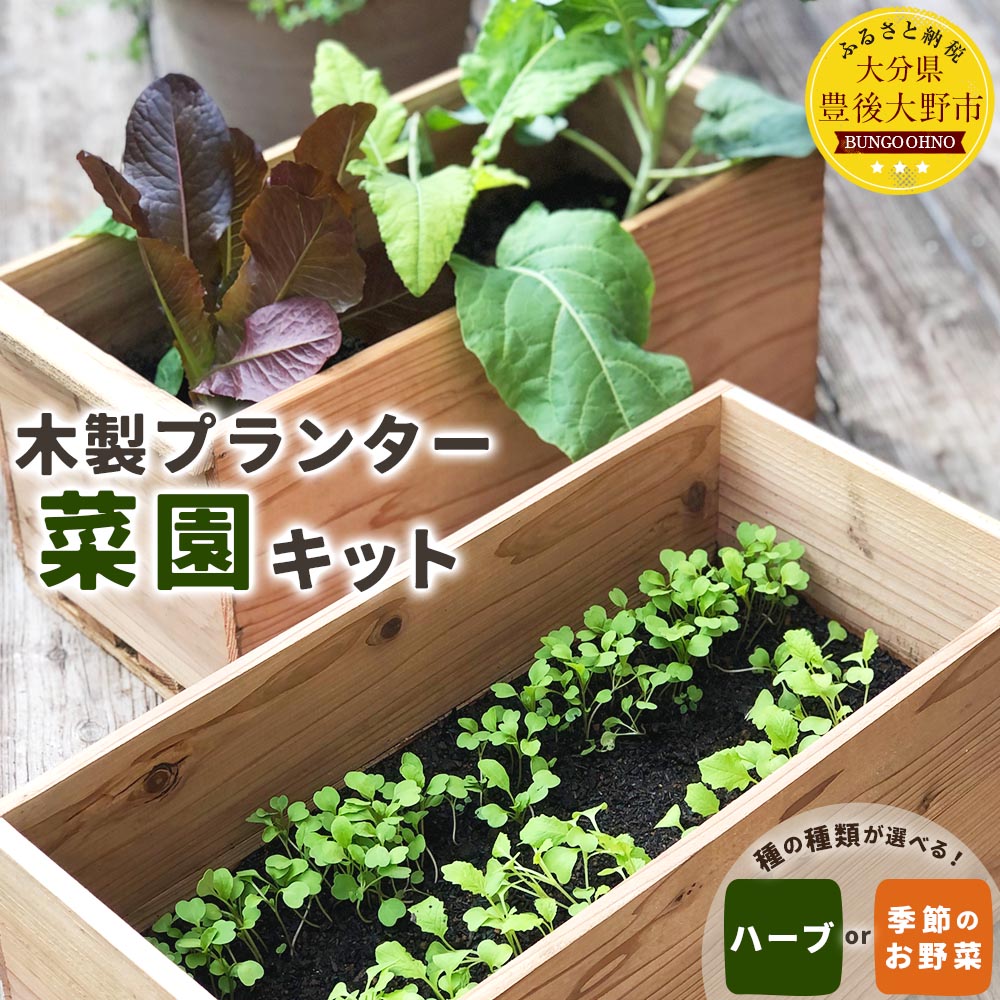 【ふるさと納税】木製 プランター 菜園キット 元気なタネと土のコンテナガーデンキット 植木鉢 家庭菜園 野菜 ハーブ 栽培キット ベランダ バルコニー 庭 おうち時間 送料無料