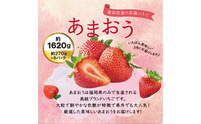 【先行受付】あまおう いちご 1,620g (約270g×6パック)  【2027年3月初旬以降順次発送】 糸島市 / 株式会社HSP-テクノ [AZL002] ブランド いちご あまおう 数量限定 