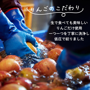 アップルジュース 720ml 1本 砂糖不使用 りんご 林檎 りんごジュース 米崎りんご リンゴ