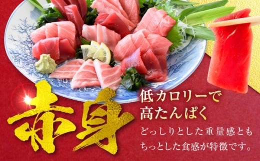 天然 本まぐろ 赤身 計約1.6kg （8柵入り）【本まぐろ直売所】 [AKAK099]