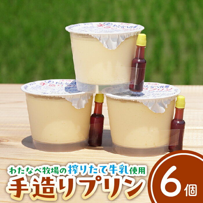 【ふるさと納税】手造りプリン6個セット【冷蔵 ネッカ牛乳 ネッカ卵 蒸しプリン ソース別 お取り寄せ わたなべ牧場】