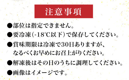 【全12回定期便】【化粧箱入】博多和牛A5‐A4 切り落とし 500g [ABCJ113] 