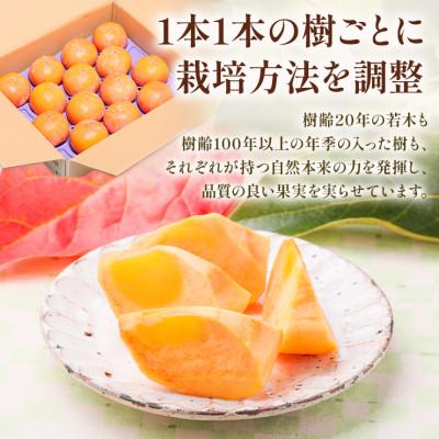 ふるさと納税 本巣市 加藤果樹園の富有柿 Lサイズ (14個入) |  | 02