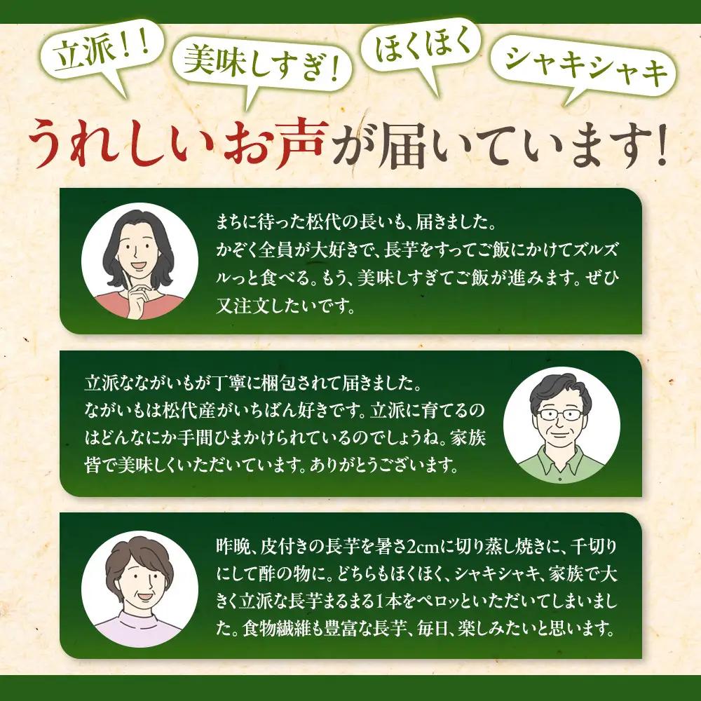 高野農園　長野市ながいも 5kg (2026年11月下旬頃出荷分）  | ながいも 長芋