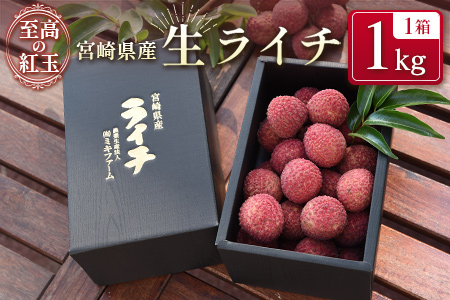 宮崎県産 生ライチ「至高の紅玉」計1kg ≪2026年6月下旬～発送≫ 人気 国産 希少 果物 旬 ギフト プレゼント【C365-26】