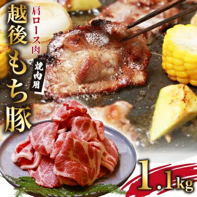 【ふるさと納税】やわらかで肉厚 越後もち豚肩ロース 焼肉用1.1kg【配送不可地域：離島】【1117862】
