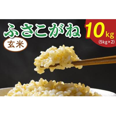 ふるさと納税 袖ケ浦市 令和8年産 ふさこがね 玄米 10kg(5kg×2)