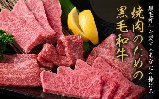 赤身 焼肉 650g 数量限定 牛肉 冷凍 黒毛和牛 《30日以内に出荷予定(土日祝除く)》 個別 取分け 小分け 個包装 赤身 岡山県 矢掛町 牛 牛肉 和牛 焼き肉 グルメ 小分け 小分けパック 