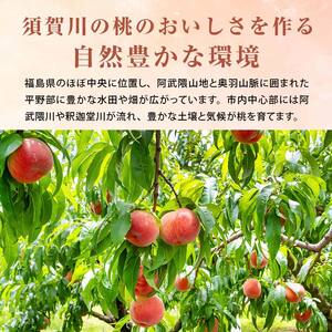 ＜先行受付＞ 嘉斎果樹園の桃「まどか」約3kg（8～11個） もも モモ 桃 デザート フルーツ 果物 くだもの 果実 食品 F7X-0140