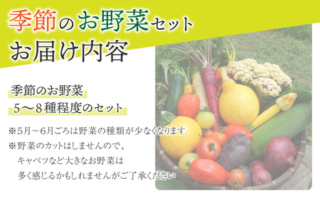 【アグロノーム】季節のお野菜セット（２〜３人様向け）