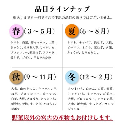 【新鮮野菜】こだわり厳選!旬の野菜セット【配送不可地域：離島・北海道・沖縄県】
