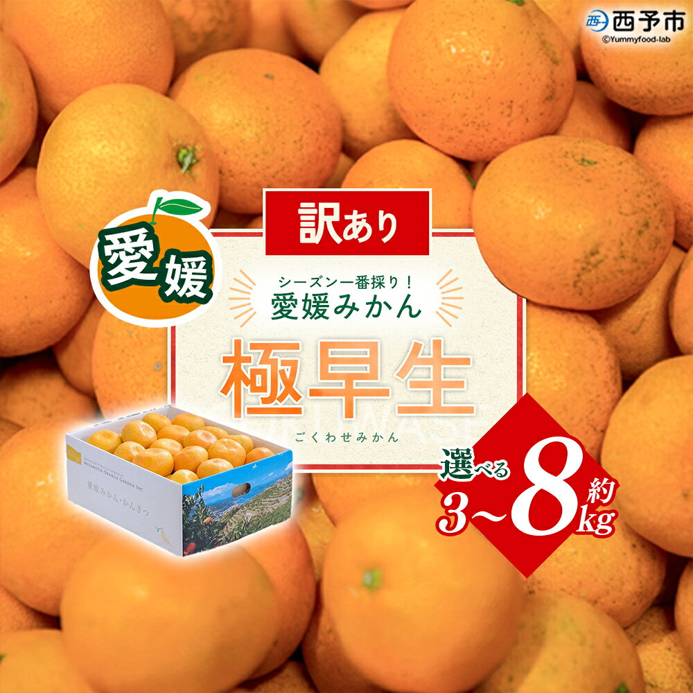 【ふるさと納税】【先行予約】＜訳あり 愛媛県産 極早生みかん 約3～8kg＞ 『2026年10月以降順次出荷予定』選べる みかん フレッシュ ご家庭用 ご自宅 ごくわせ キロ 果肉 果物 柑橘 フルーツ オレンジ 国産 濃厚 産地直送 ミヤモトオレンジガーデン 愛媛県 西予市【常温】