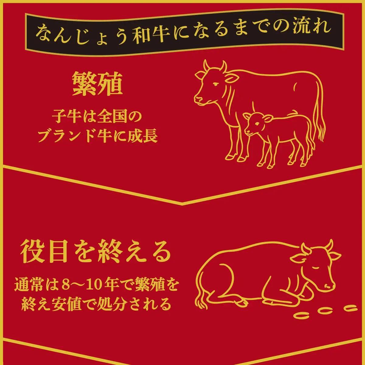 なんじょう和牛（しゃぶしゃぶすきやき）＆レモンサワー・ハブボール BG102   