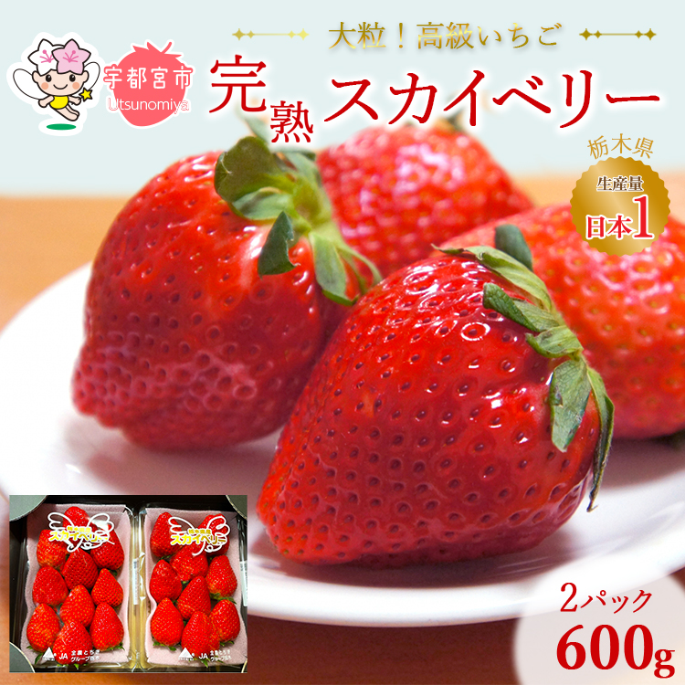 高級いちご 完熟スカイベリー2パック 600g ｜ いちご 栃木 スカイベリー 甘い 糖度 旬 新鮮 フルーツ 果物 アレンジ スイーツ いちごジャム フルーツサンド ※2025年12月下旬～2026年3月下旬頃に順次発送予定 ※北海道・沖縄・離島への配送不可