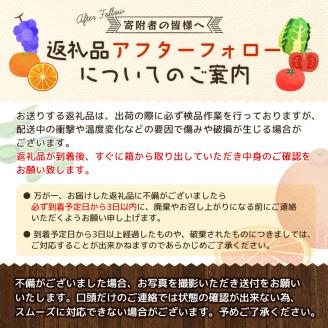 【先行予約受付】和歌山県産の美味しい梨 約4kg （10～13玉入り）【2023年8月中旬頃から順次発送予定】【mat102】