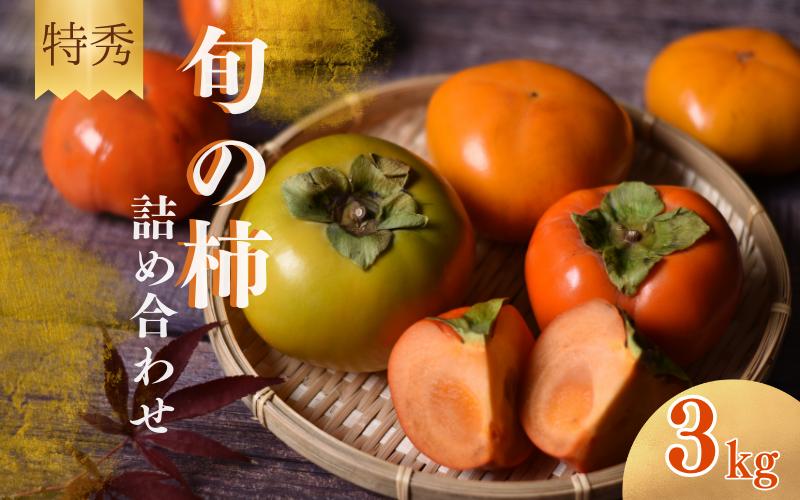
            【☆令和8年産☆先行予約】【特秀】 紀美野町産 旬の柿詰め合わせ 約3kg ※箱込み【2026年10月上旬～11月下旬に順次発送致します。】/ 和歌山県 紀美野町 カキ 柿 太秋柿 紀ノ川柿 富有柿 早秋柿 秀品【frt004A】
          