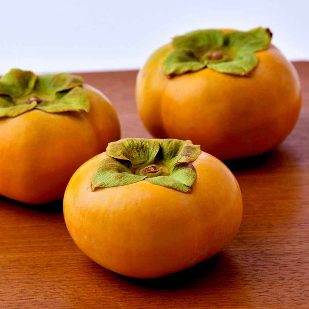 富有柿 15個 約3kg（L、2L）【11月より発送開始】（茨城県共