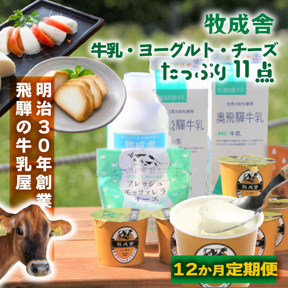 【ふるさと納税】12か月定期便【飛騨乳製品バラエティセット】牛乳・ヨーグルト・チーズ詰め合わせ　11点セット ｜乳製品 習慣 詰合せ 家族 朝食 牧成舎 牧成舎 DF247