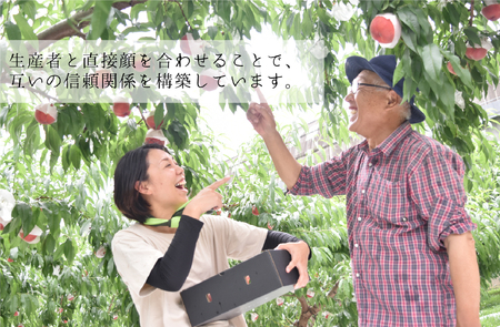 ＜2026年発送先行予約＞ピオーネ2.0kg相当 ALPAJ008