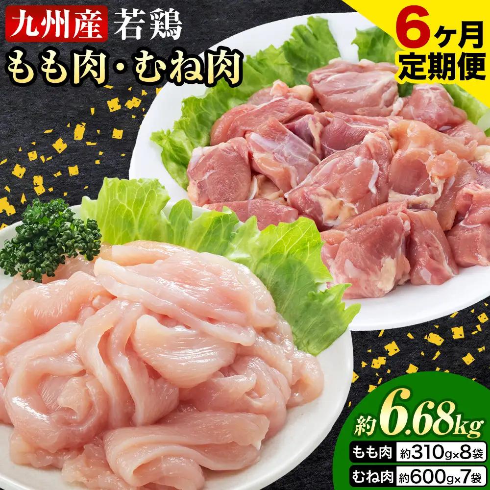 【6ヶ月定期便】 九州産若鶏もも肉（310g×8袋）・むね肉（600g×7袋）セット  鶏肉 お肉 モモ肉 もも肉 ムネ肉 むね肉 2種類 小分け 冷凍 九州産 国産 熊本県 菊池市 送料無料《お申込み翌月から出荷》