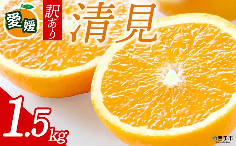 先行予約＜訳あり 愛媛県産 清見 合計約1.5kg＞ 『2027年4月～6月に順次出荷』きよみ 溢れる果汁 ご家庭用 ご自宅 お試し わけあり 果物 柑橘 フルーツ オレンジ 国産 濃厚 果汁 産地直送 特産品 ミヤモトオレンジガーデン 愛媛県 西予市【常温】ONM0019