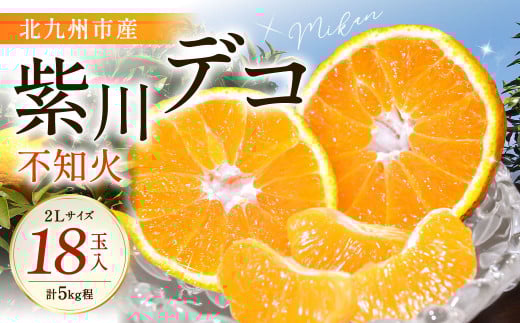 紫川デコ（不知火） 2Lサイズ 18玉入 計5kg程 フルーツキャップ付き【2026年3月上旬～2026年3月下旬発送予定】