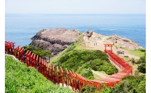 JAL 向津具ダブルマラソン（棚田ウォーク）出場権