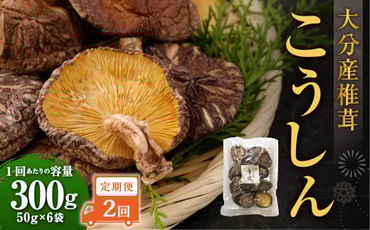 【2ヶ月定期便】大分産椎茸こうしん 300g（50g×6袋）合計600g 12袋 乾燥椎茸 乾燥 しいたけ 干し椎茸 乾し椎茸 乾燥野菜 原木こうしん 大分県 九重町