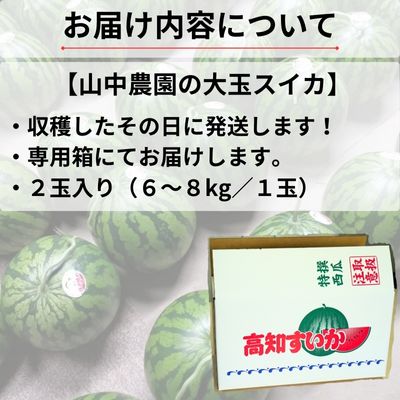 103002 山中農園のスイカ ２玉【先行受付】 種が少ない 選べる １玉 ２玉 フルーツ 産地直送 完熟 糖度 リピーター率高い 甘い 大玉 西瓜 すいか/高知県 奈半利町