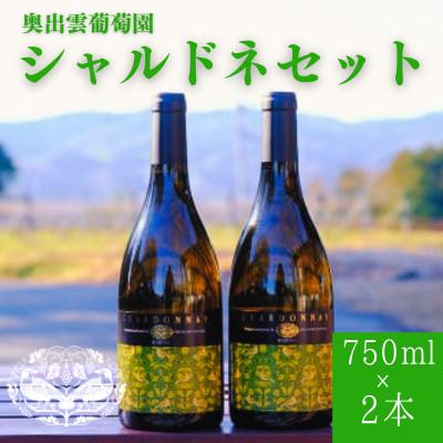 ふるさと納税 雲南市 シャルドネ(白ワイン)750ml× 2本セット 辛口