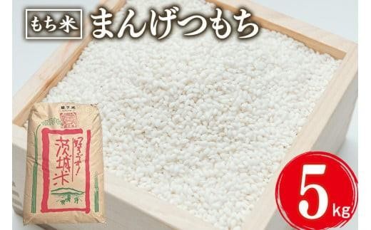 【2月発送】まんげつもち 精米 5kg お米 米 こめ コメ 精米 白米 ご飯 ごはん 茨城県 石岡市 B02-081