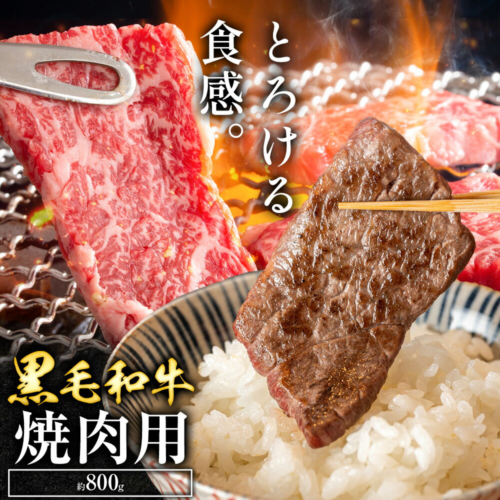 【ふるさと納税】黒毛和牛 焼肉用 約 800g ロース カルビ 焼肉 やきにく 国産 九州 熊本 天草 苓北 送料無料 坂西商店《90日以内に出荷予定(土日祝を除く)》熊本県 苓北町