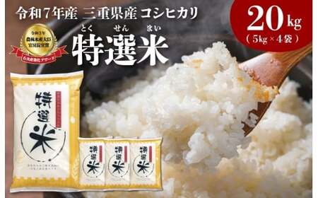 令和7年度産 特選米 コシヒカリ 20kg お米 MK7