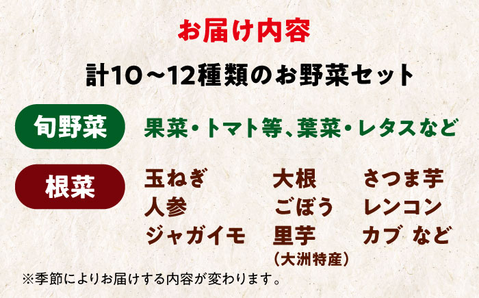 あったら嬉しい根菜セット×おまかせ旬野菜　愛媛県大洲市/有限会社ヒロファミリーフーズ [AGBX012]野菜 サラダ カレー 農業 トマト 料理  大根 鍋 にんじん 果物 芋 さといも じゃがいも 