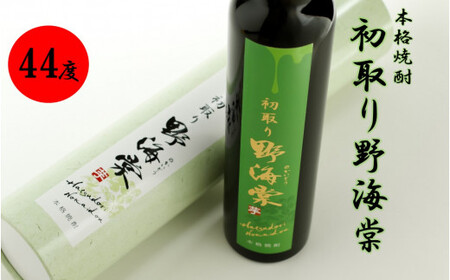 AS-344 芋焼酎のうま味を凝縮した蔵人おすすめの1本（44度） 初取り野海棠 300ml 芋焼酎 祁答院蒸溜所