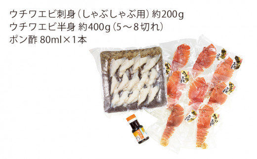【12回定期便】ウチワエビしゃぶしゃぶA刺身・半身セット 600g【ひばり】[KAA233]/ 長崎 平戸 魚介類 海老 エビ ウチワエビ 季節限定 ご当地 グルメ 刺身 しゃぶしゃぶ 定期便