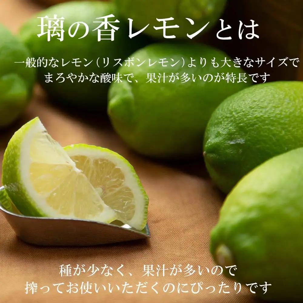 【先行予約】璃の香レモン 約3kg（8〜15個） 高知県土佐市 【株式会社SHIRAKI】 [BQAI025]
