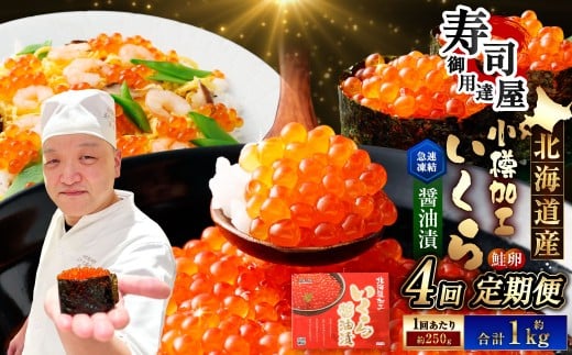 【4回定期便】 北海道加工 いくら醤油漬 約250g（1パック）×4回 計約1kg いくら醤油漬け いくら イクラ 醤油漬 醤油漬け 冷凍